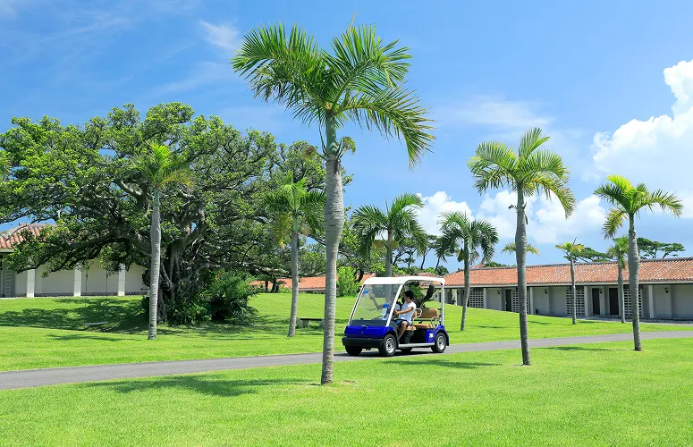 レンタルカート