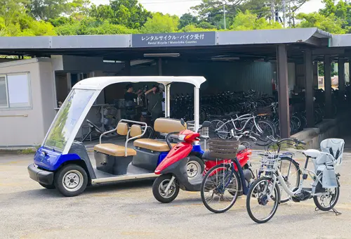 rental cart