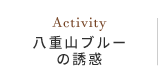 八重山ブルーの誘惑