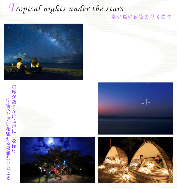 南の島の夜空を彩る星々