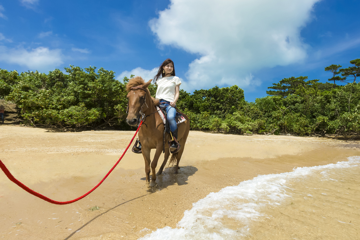 海岸乗馬&フォト<3名1組コース>