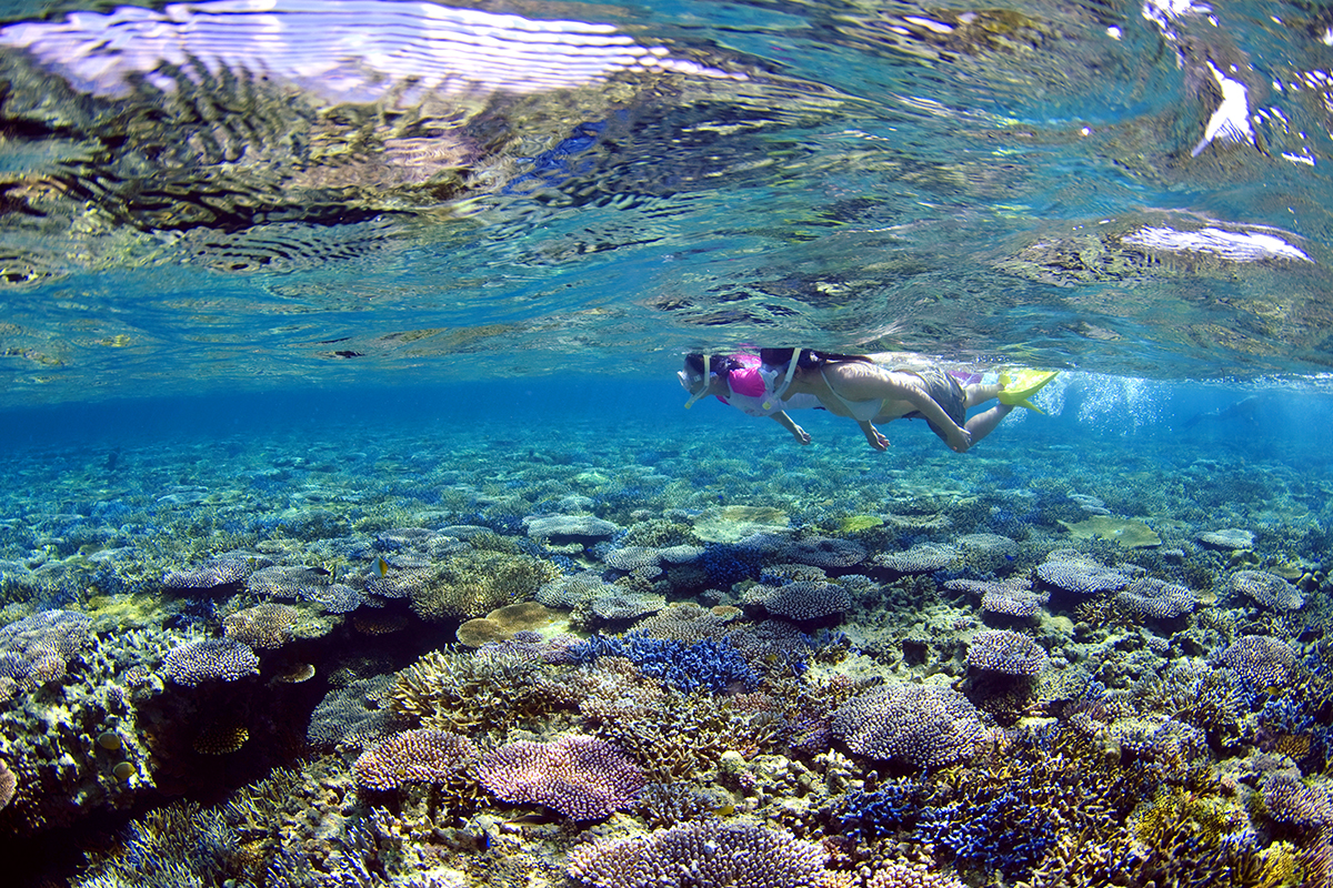 美ら海スノーケルツアー