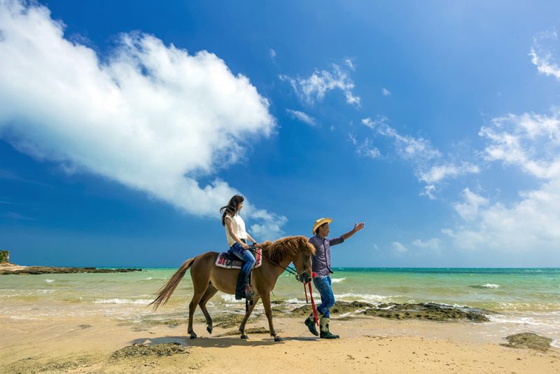 海岸乗馬 ~海辺のやすらぎホースライディング~