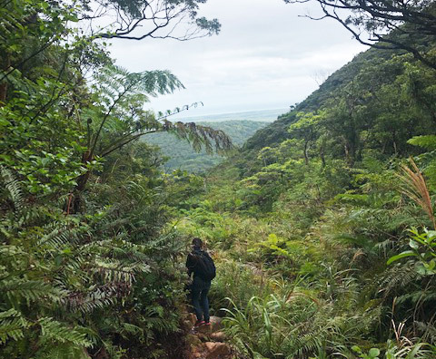 新年 於茂登岳登山 はいむるぶし公式サイト 最低価格保証