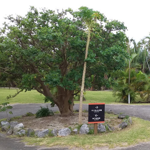 はいむるぶしスタッフブログ はいむるぶし公式サイト 最低価格保証