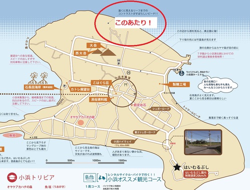 はいむるぶしスタッフブログ はいむるぶし公式サイト 最低価格保証 はいむるぶしスタッフブログ はいむるぶし公式サイト 最低価格保証