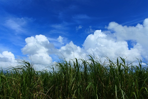 緑の島| はいむるぶし公式サイト【最低価格保証】