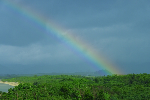 はいむるぶしスタッフブログ はいむるぶし公式サイト 最低価格保証