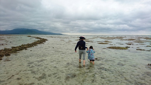 はいむるぶしスタッフブログ はいむるぶし公式サイト 最低価格保証