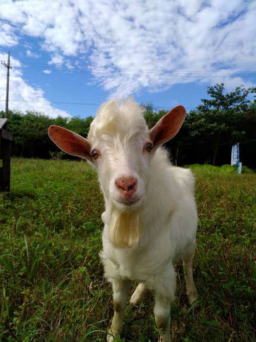 はいむるぶしスタッフブログ はいむるぶし公式サイト 最低価格保証