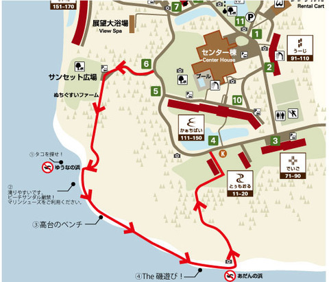 小浜島生き物通信29 ゆうなの浜からあだんの浜へ3 はいむるぶし公式サイト 最低価格保証 小浜島生き物通信29 ゆうなの浜からあだんの浜へ3 はいむるぶし公式サイト 最低価格保証