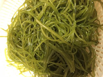 はいむるぶしスタッフブログ はいむるぶし公式サイト 最低価格保証