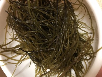 カーナー採り はいむるぶし公式サイト 最低価格保証