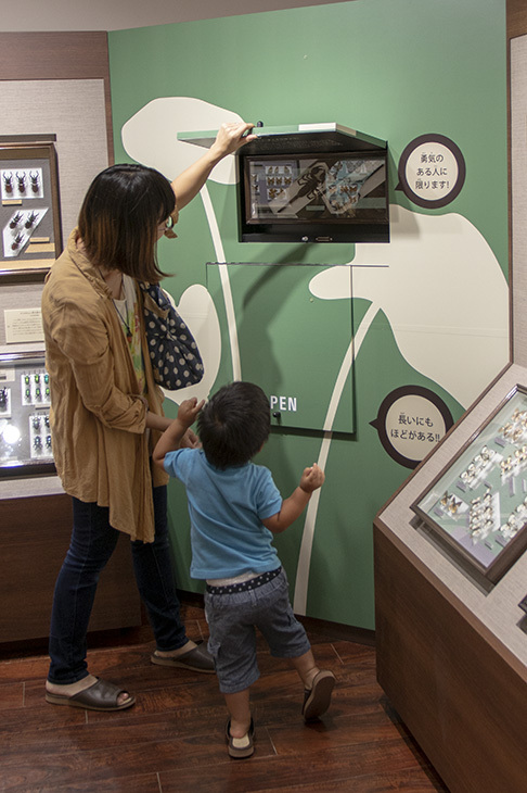 はいむるぶしスタッフブログ はいむるぶし公式サイト 最低価格保証