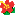 赤ハイビスカス 赤ハイビスカス
