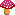 キノコ キノコ