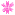 花 花