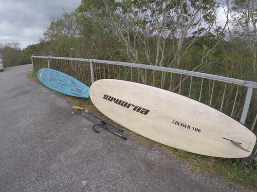 ファッションデザイナー 87L SAWARNA ハーレーイングルビー SUPボード