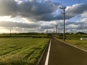 はいむるぶしスタッフブログ はいむるぶし公式サイト 最低価格保証