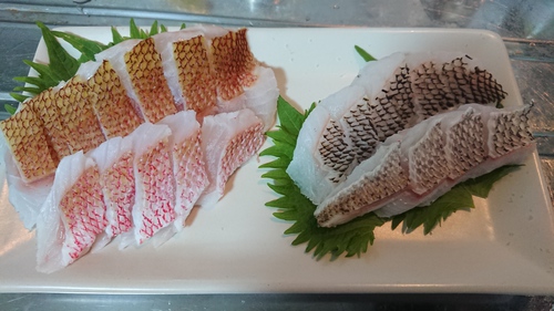 小浜島釣り日記 Catch Eat はいむるぶし公式サイト 最低価格保証